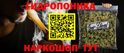 дмт Новодвинск