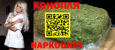 стафф Новозыбков