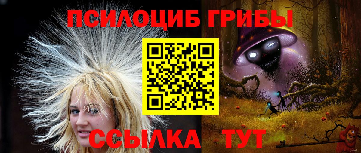 Сызрань  Псилоцибиновые грибы прущие грибы  Вход с VPN 