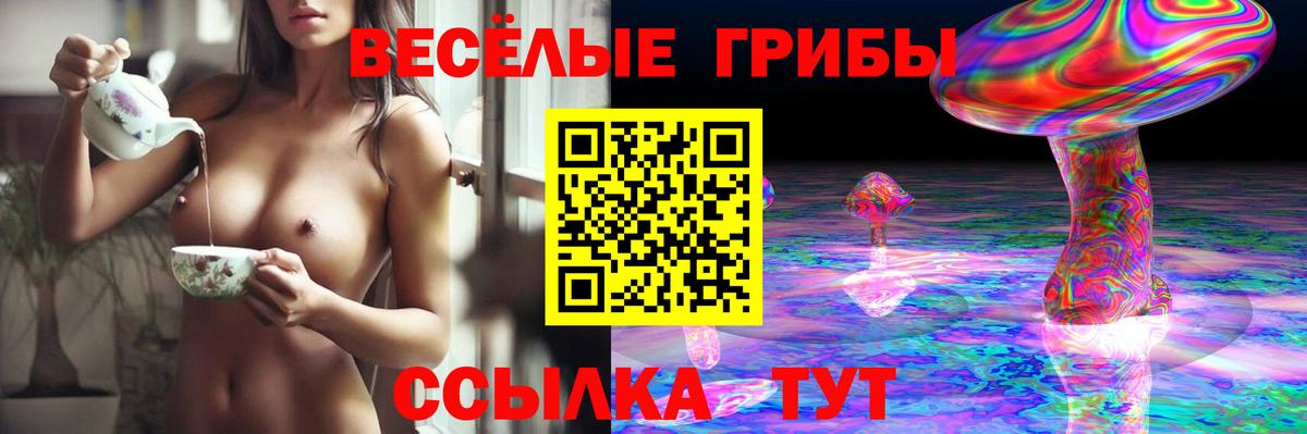 Галлюциногенные грибы MAGIC MUSHROOMS Сызрань